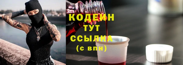 дурь Надым