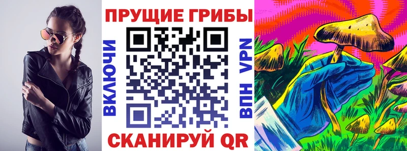 Галлюциногенные грибы Psilocybine cubensis  Полтавская 